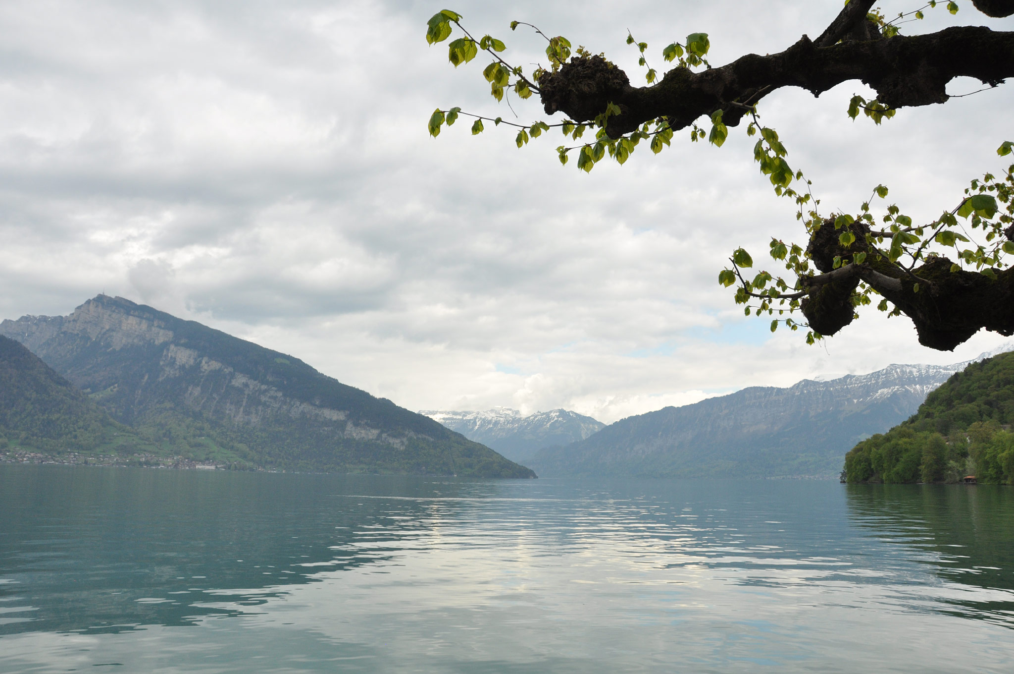 Spiez